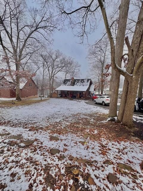 view of snowy yard