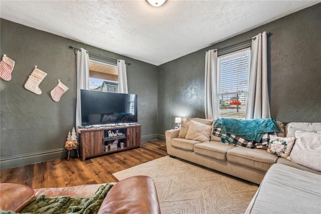 living room featuring hardwood / wood-style floors and a textured ceiling