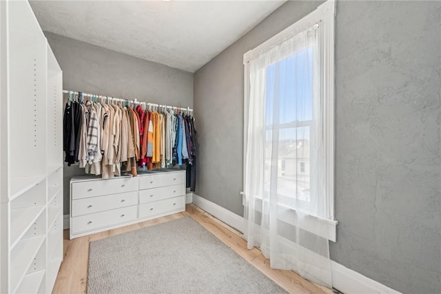 spacious closet with hardwood / wood-style flooring