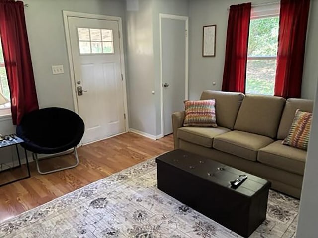 living room with light wood-type flooring