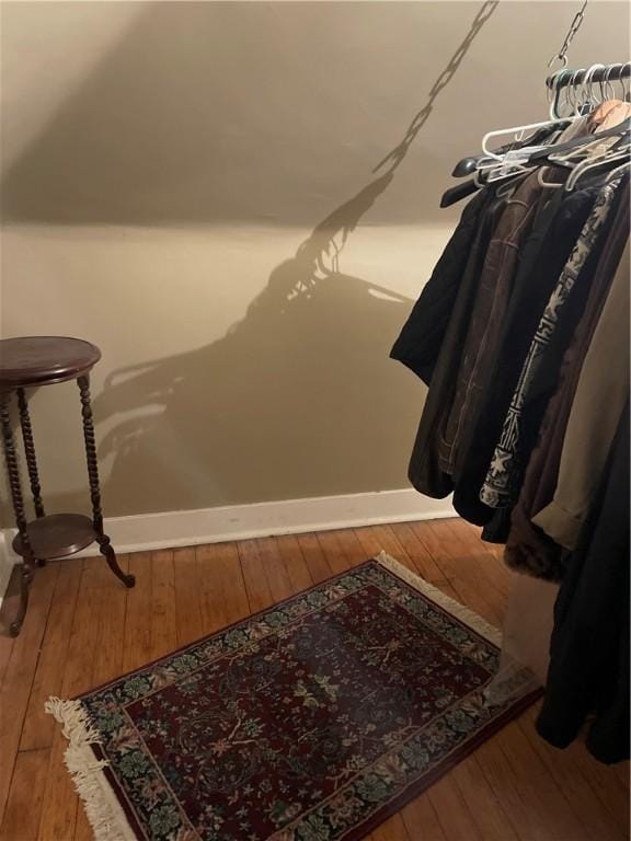 spacious closet featuring wood-type flooring