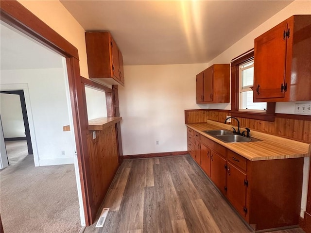 kitchen featuring sink and light colored carpet