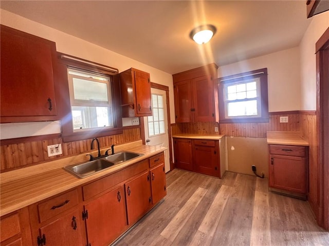 kitchen featuring light wood-type flooring and sink