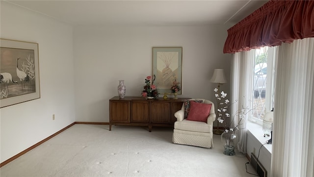 living area featuring light colored carpet