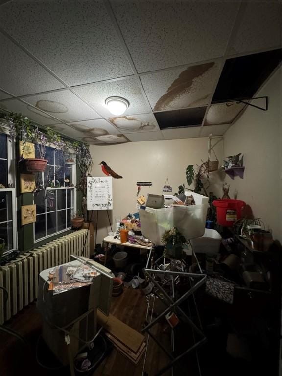 misc room with radiator heating unit, a drop ceiling, and wood-type flooring