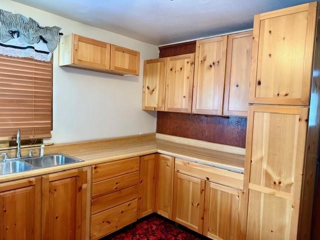 kitchen with light brown cabinets and sink