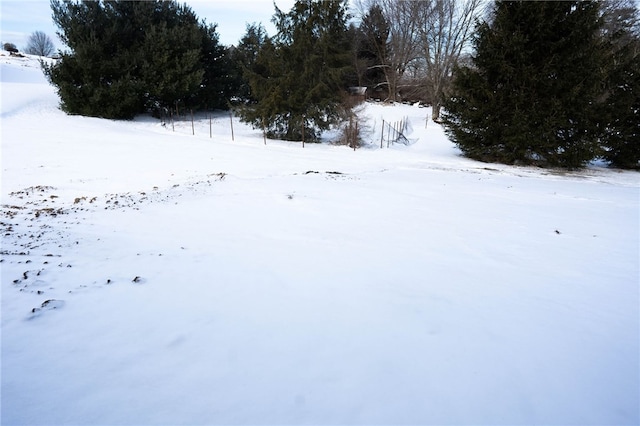 view of yard covered in snow