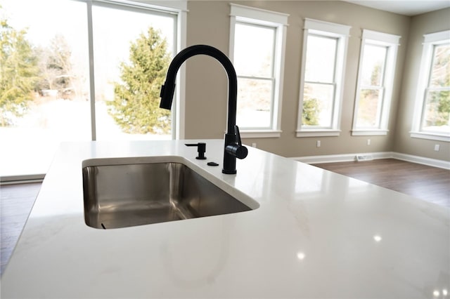 interior details with hardwood / wood-style floors and sink