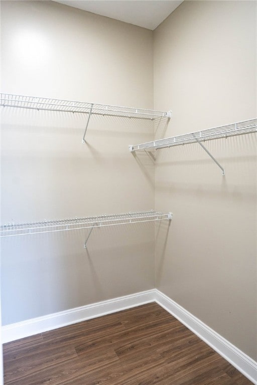 walk in closet featuring hardwood / wood-style flooring