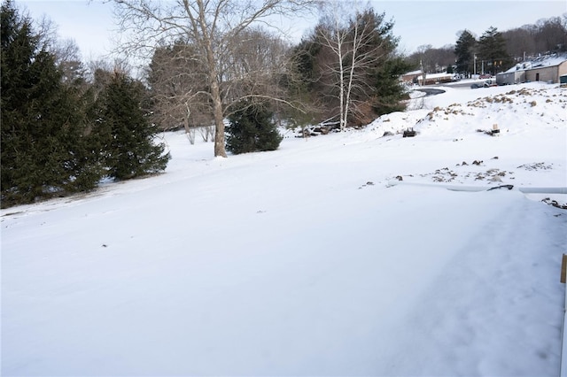 view of yard layered in snow