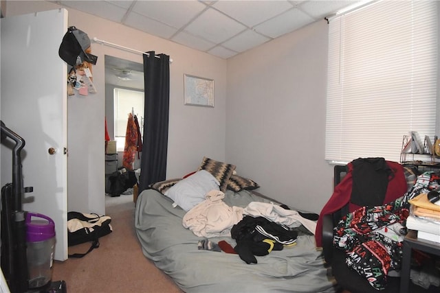 carpeted bedroom with a paneled ceiling