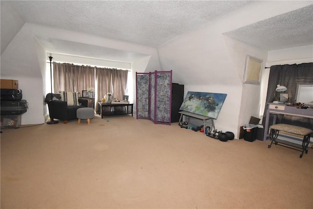 living area featuring carpet and a textured ceiling