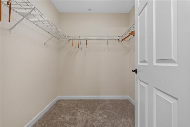 1111 Forest Oaks Dr, Center Twp, PA 16001 - spacious closet with carpet flooring