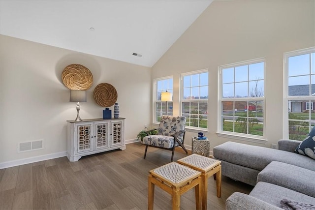 interior space featuring hardwood / wood-style floors and high vaulted ceiling