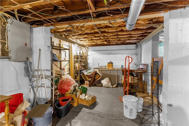 basement with electric panel