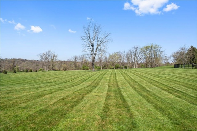 view of yard featuring a rural view