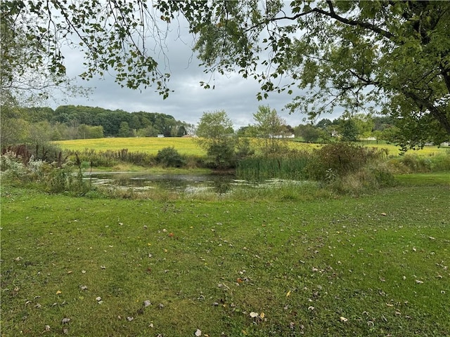 view of landscape with a rural view