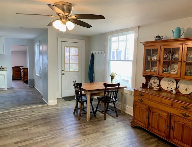 dining room with dark hardwood / wood-style floors and ceiling fan