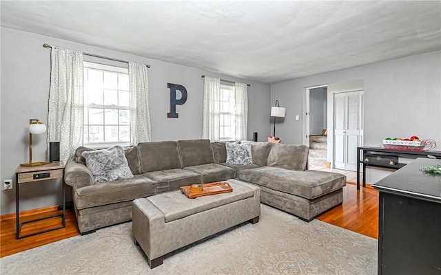 living room featuring hardwood / wood-style floors