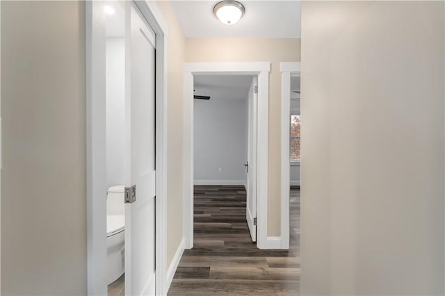 hall with dark hardwood / wood-style flooring