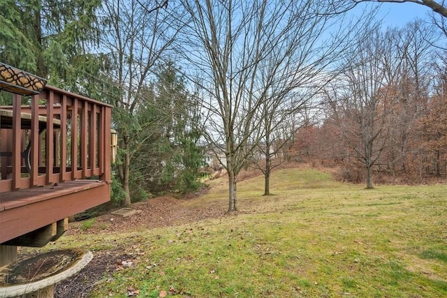 view of yard featuring a deck