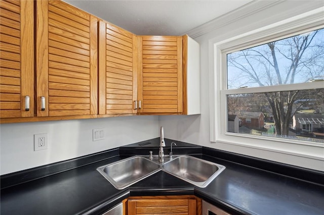 kitchen with ornamental molding and sink