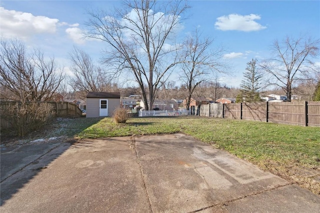 view of yard with a patio and a storage shed