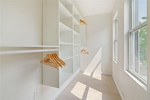 walk in closet with light hardwood / wood-style flooring