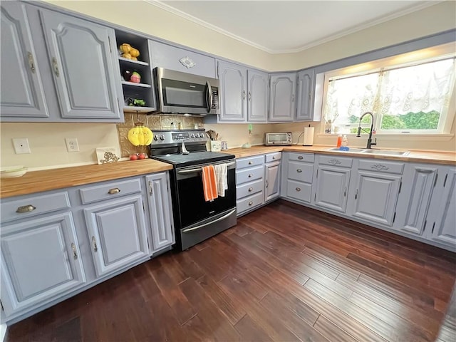 kitchen with butcher block countertops, dark hardwood / wood-style flooring, sink, and stainless steel appliances