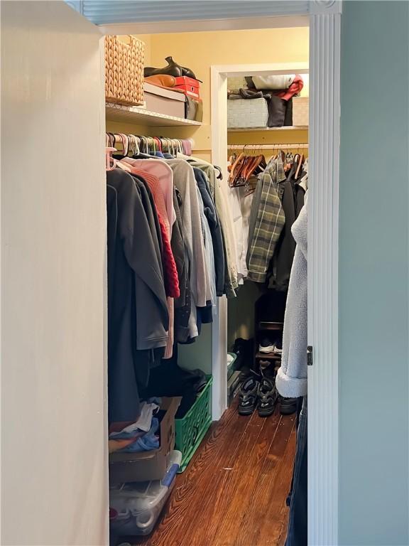 spacious closet featuring dark wood-type flooring