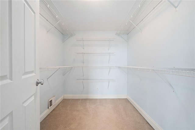 spacious closet featuring light carpet