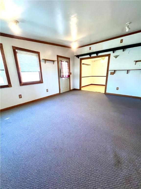 unfurnished room featuring carpet and ornamental molding