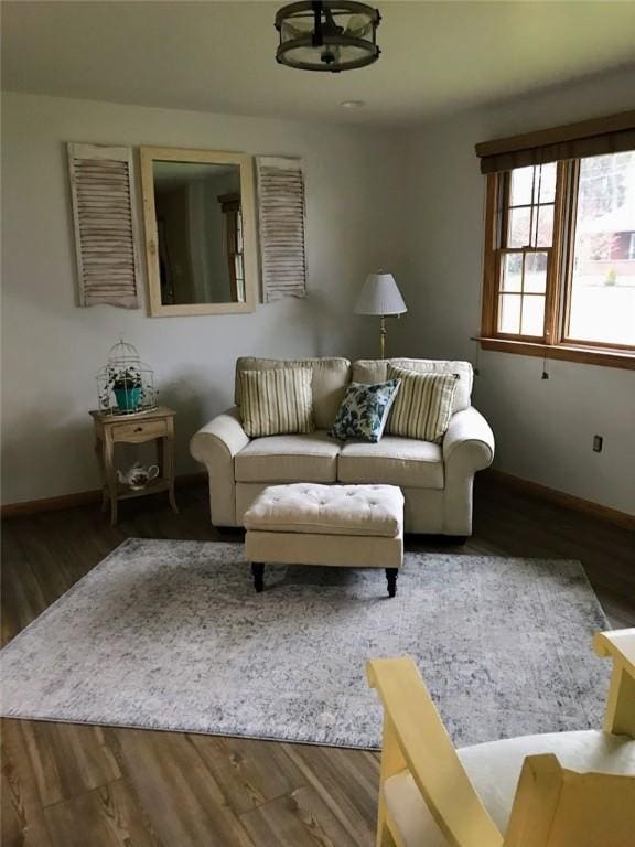 living room featuring hardwood / wood-style floors