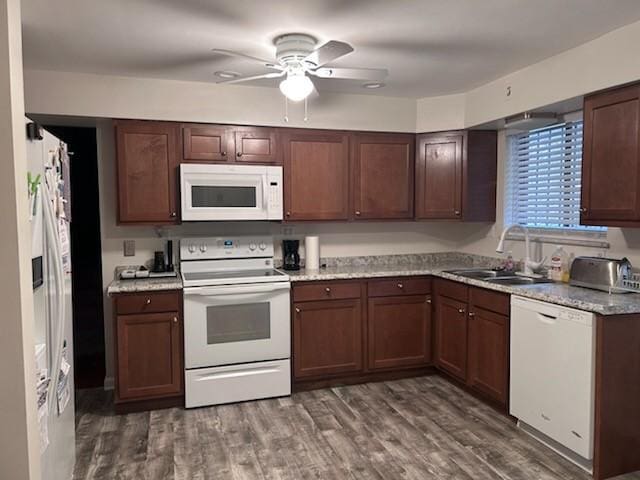 kitchen featuring white appliances, ceiling fan, dark wood-type flooring, and sink