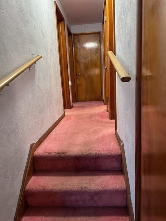 stairs with carpet flooring