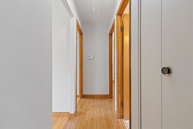 hallway featuring light hardwood / wood-style floors