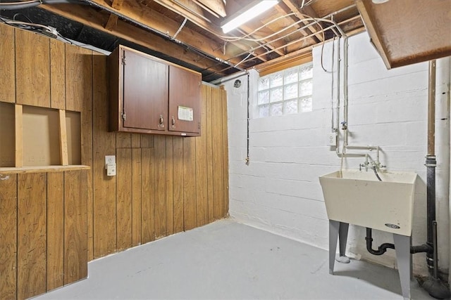 basement featuring wood walls