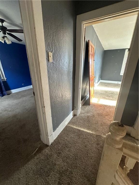 hallway featuring carpet flooring