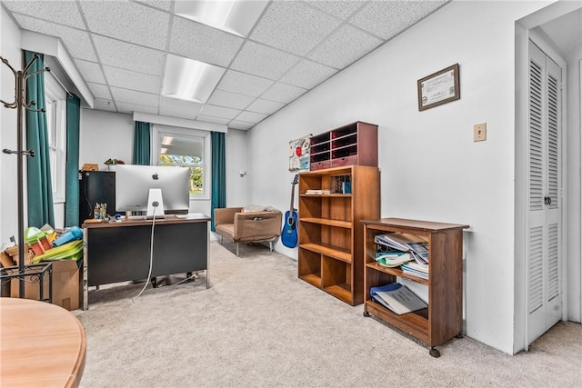 office area featuring carpet flooring and a paneled ceiling