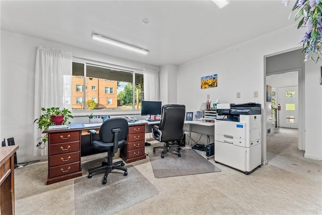 office space featuring light colored carpet