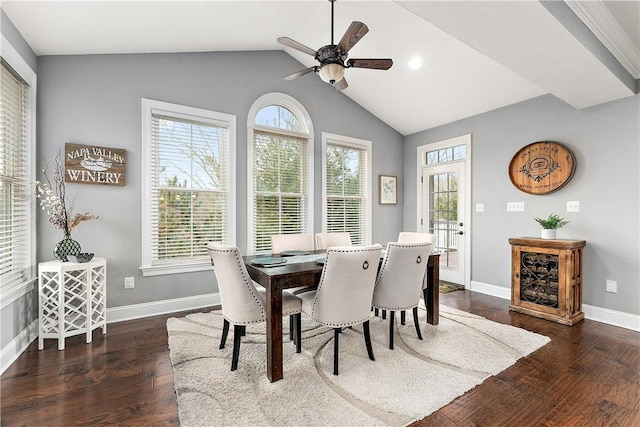 dining space with dark hardwood / wood-style floors and a wealth of natural light