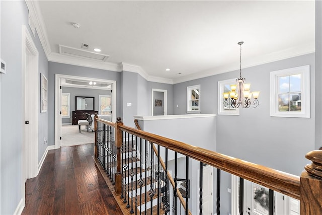 corridor with ornamental molding, a notable chandelier, and dark hardwood / wood-style flooring