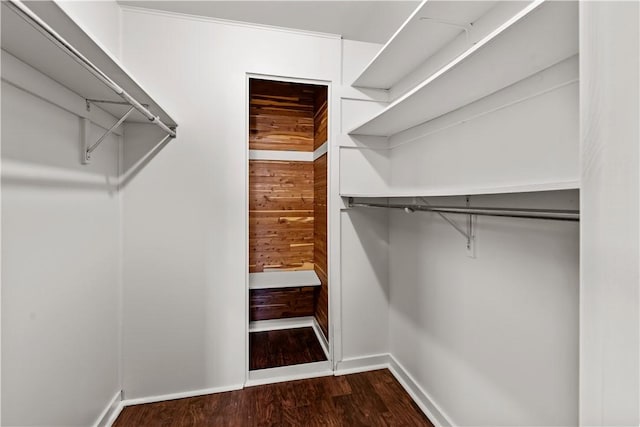 walk in closet with dark hardwood / wood-style floors