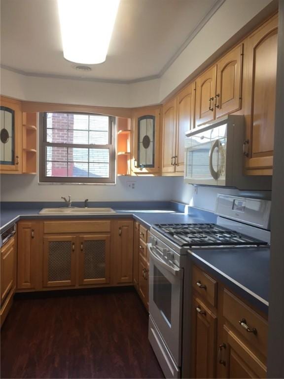 kitchen featuring ornamental molding, dark wood-type flooring, sink, and range with gas cooktop