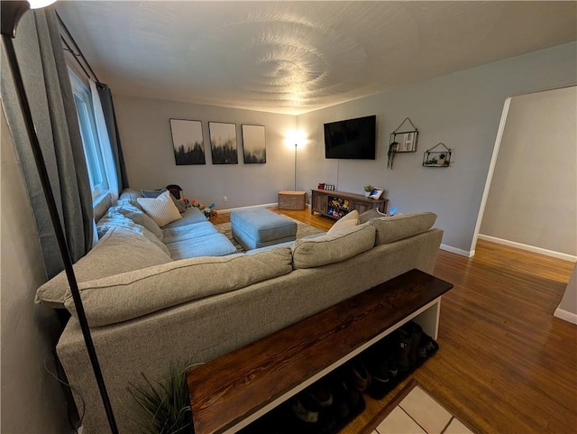 living room featuring hardwood / wood-style floors