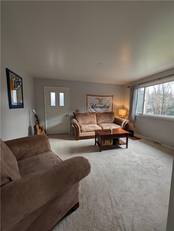 living room featuring light colored carpet