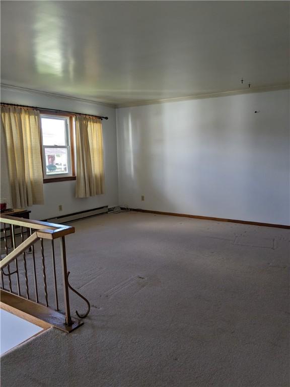 unfurnished room with crown molding and carpet