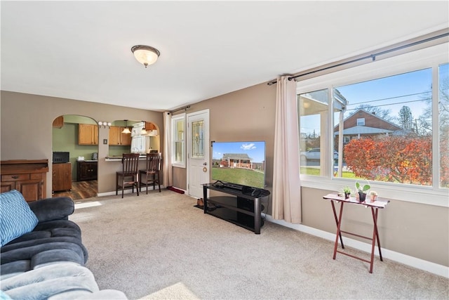 carpeted living room with a healthy amount of sunlight