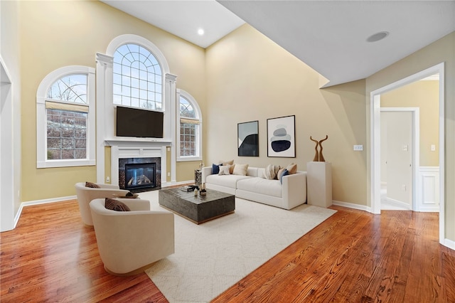 living room with a fireplace, hardwood / wood-style flooring, and a wealth of natural light