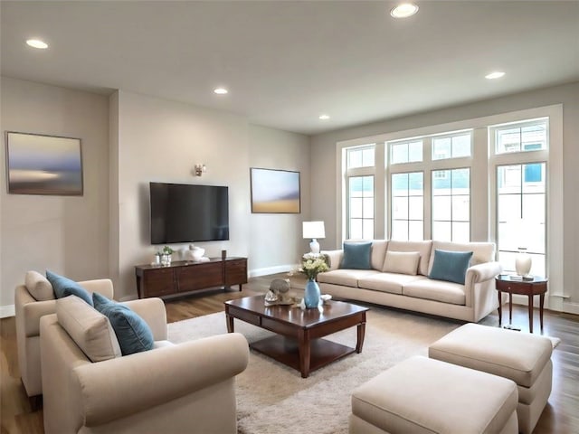 living room featuring light hardwood / wood-style flooring